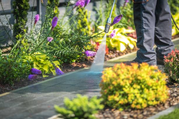 Trusted Farmingdale, NJ Pressure Washing Services Experts